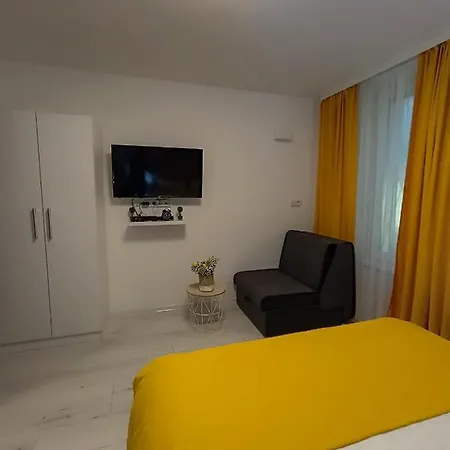 Ajsa Saraybosna