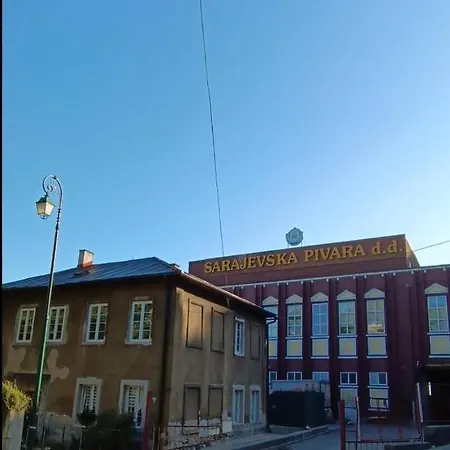 Ajsa