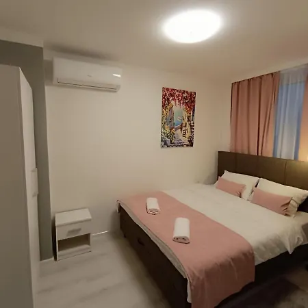 Ajsa Saraybosna